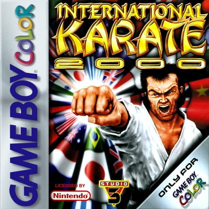 International Karate 2000 cover art